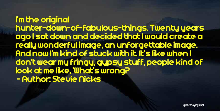 Stevie Nicks Quotes: I'm The Original Hunter-down-of-fabulous-things. Twenty Years Ago I Sat Down And Decided That I Would Create A Really Wonderful Image,