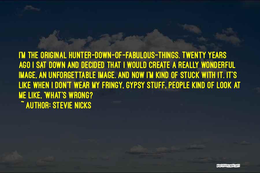 Stevie Nicks Quotes: I'm The Original Hunter-down-of-fabulous-things. Twenty Years Ago I Sat Down And Decided That I Would Create A Really Wonderful Image,