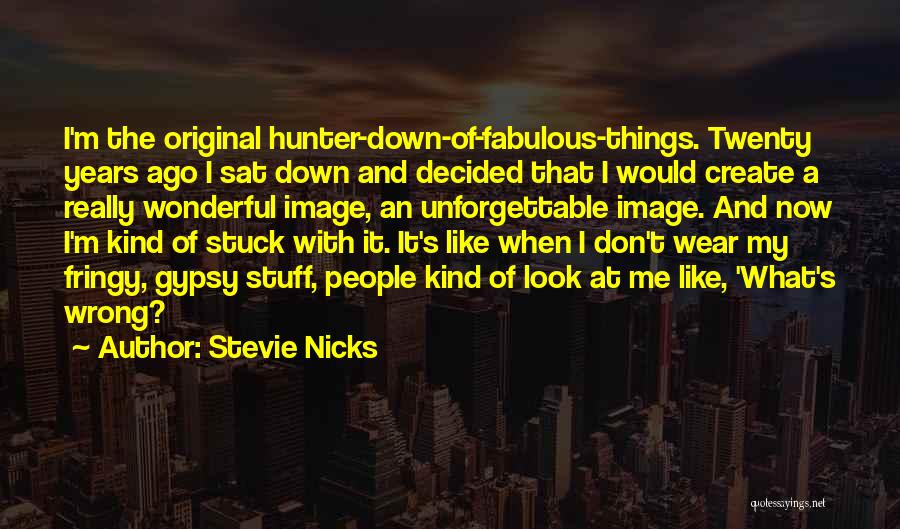 Stevie Nicks Quotes: I'm The Original Hunter-down-of-fabulous-things. Twenty Years Ago I Sat Down And Decided That I Would Create A Really Wonderful Image,