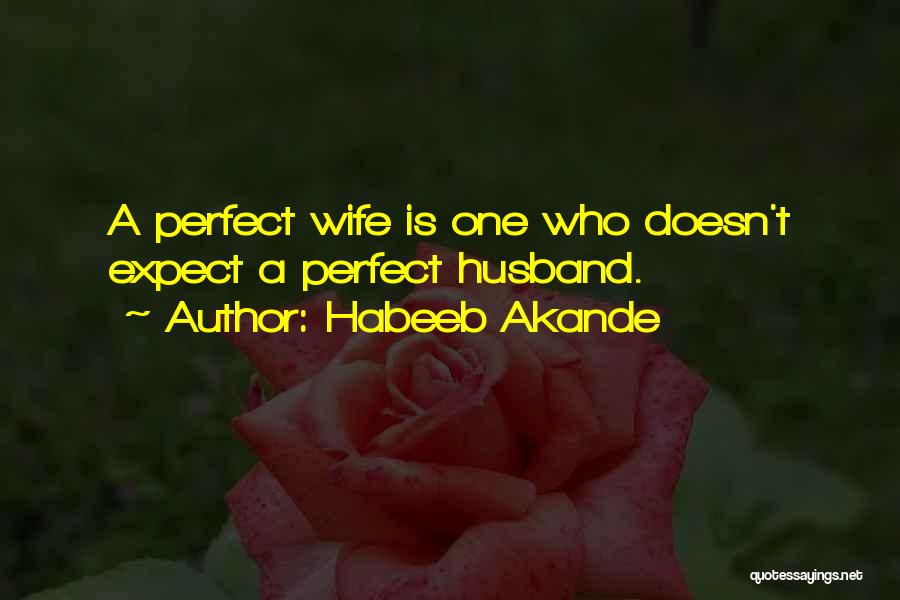 Habeeb Akande Quotes: A Perfect Wife Is One Who Doesn't Expect A Perfect Husband.