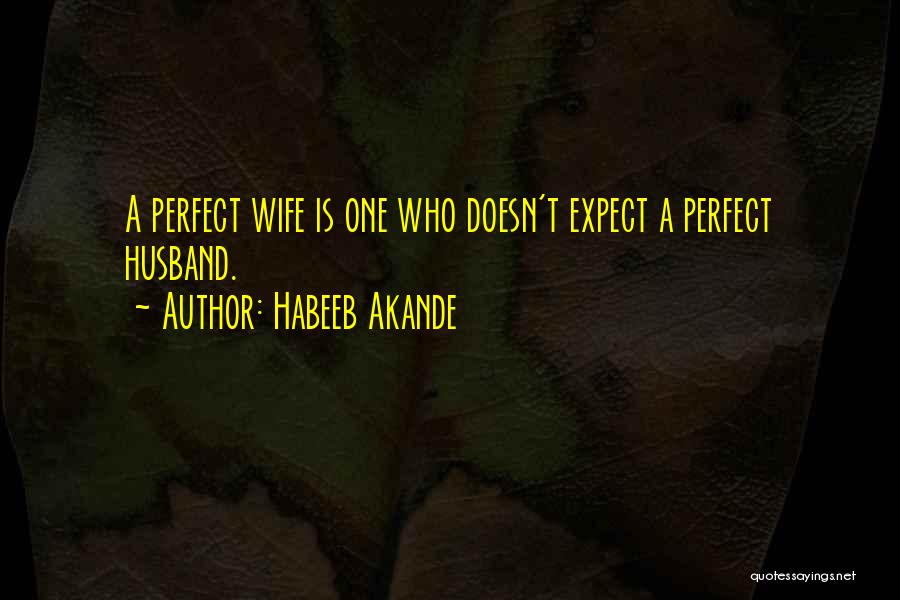 Habeeb Akande Quotes: A Perfect Wife Is One Who Doesn't Expect A Perfect Husband.