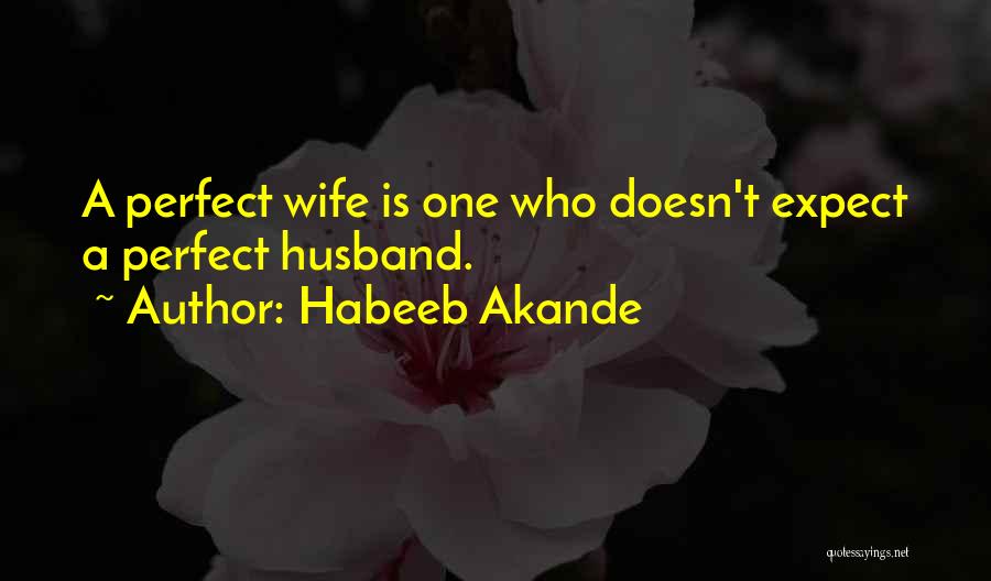 Habeeb Akande Quotes: A Perfect Wife Is One Who Doesn't Expect A Perfect Husband.