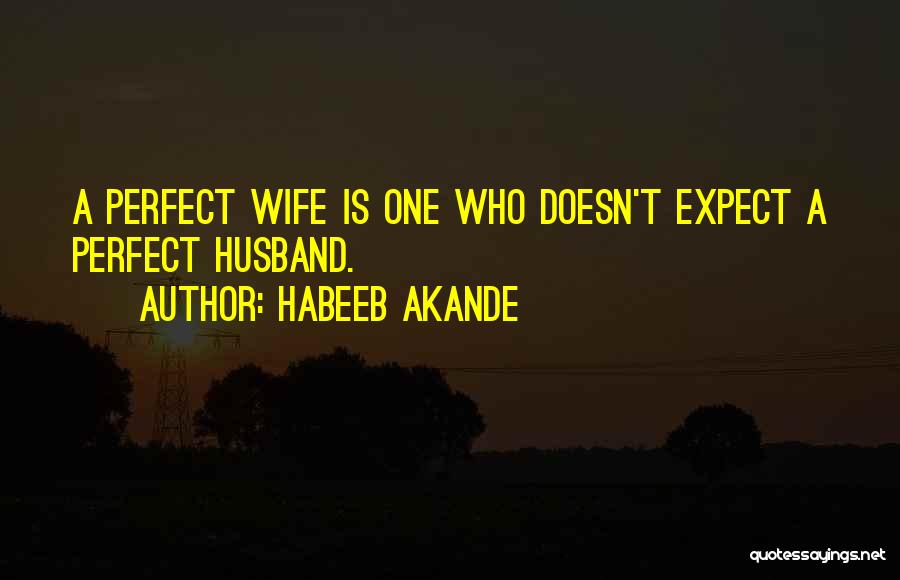 Habeeb Akande Quotes: A Perfect Wife Is One Who Doesn't Expect A Perfect Husband.