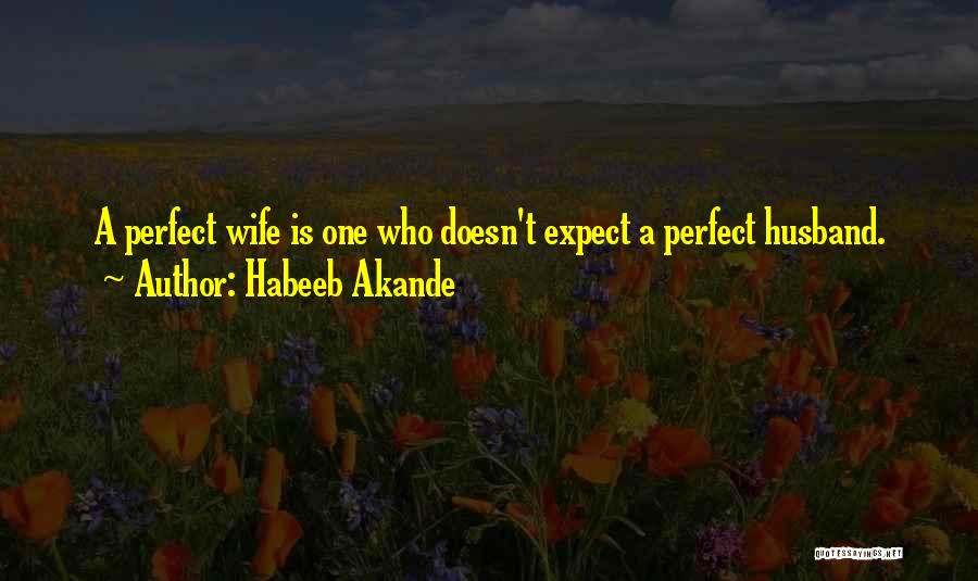 Habeeb Akande Quotes: A Perfect Wife Is One Who Doesn't Expect A Perfect Husband.