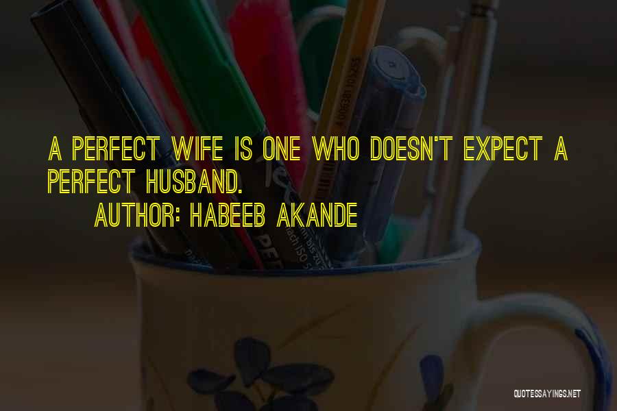 Habeeb Akande Quotes: A Perfect Wife Is One Who Doesn't Expect A Perfect Husband.