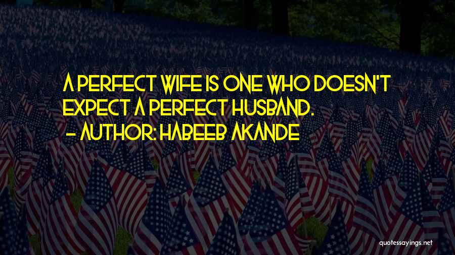 Habeeb Akande Quotes: A Perfect Wife Is One Who Doesn't Expect A Perfect Husband.