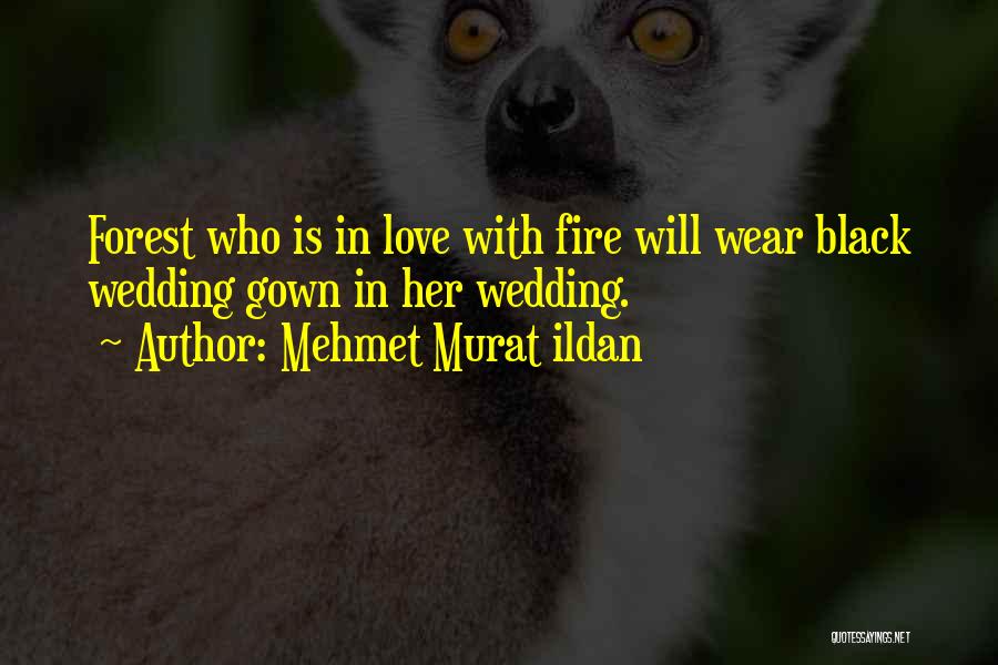 Mehmet Murat Ildan Quotes: Forest Who Is In Love With Fire Will Wear Black Wedding Gown In Her Wedding.