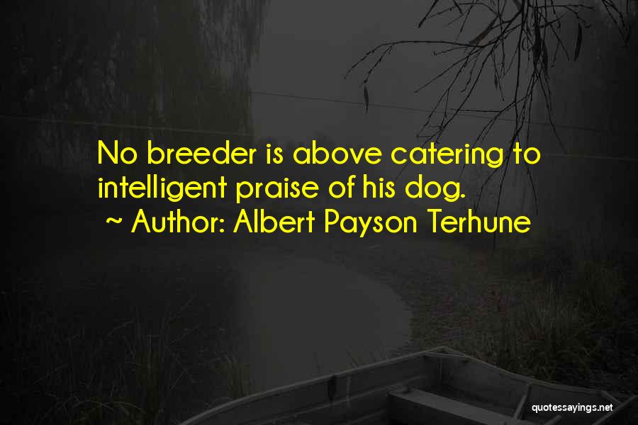 Albert Payson Terhune Quotes: No Breeder Is Above Catering To Intelligent Praise Of His Dog.