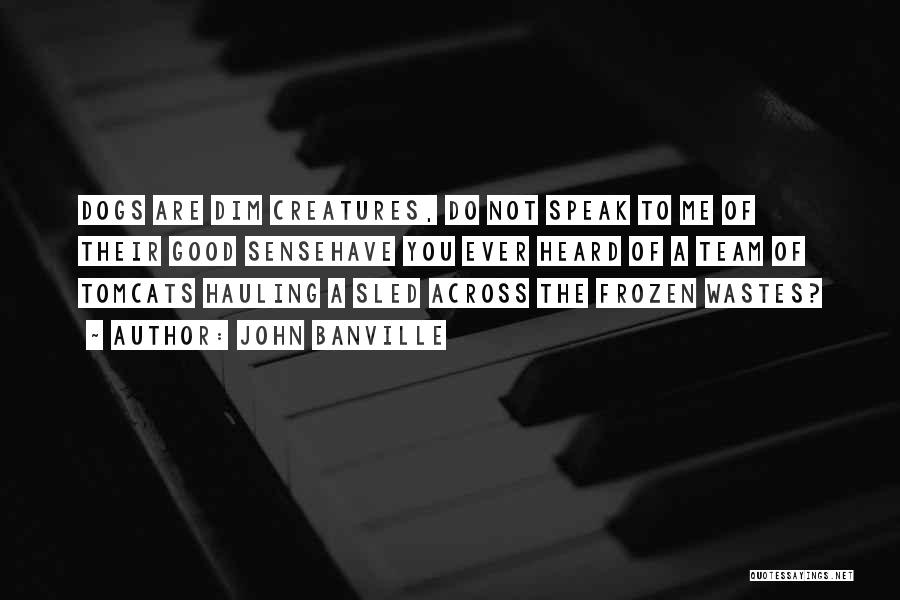 John Banville Quotes: Dogs Are Dim Creatures, Do Not Speak To Me Of Their Good Sensehave You Ever Heard Of A Team Of