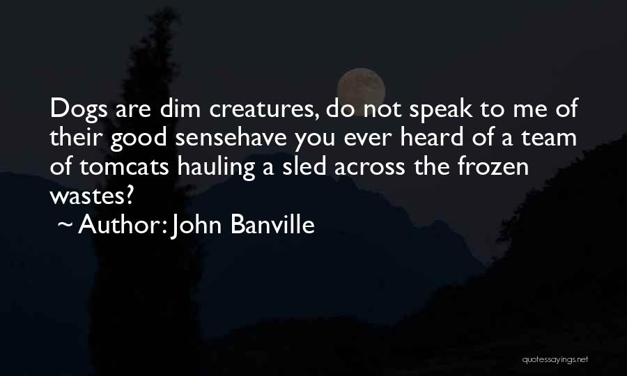 John Banville Quotes: Dogs Are Dim Creatures, Do Not Speak To Me Of Their Good Sensehave You Ever Heard Of A Team Of