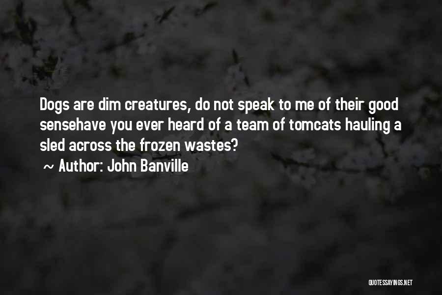 John Banville Quotes: Dogs Are Dim Creatures, Do Not Speak To Me Of Their Good Sensehave You Ever Heard Of A Team Of