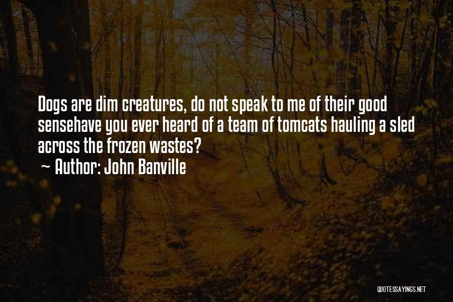 John Banville Quotes: Dogs Are Dim Creatures, Do Not Speak To Me Of Their Good Sensehave You Ever Heard Of A Team Of