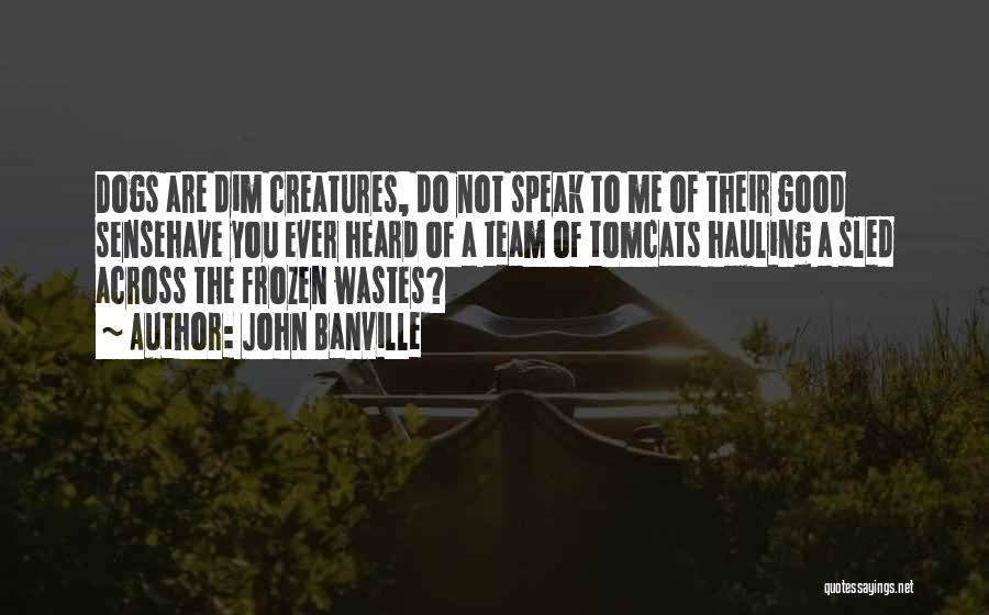 John Banville Quotes: Dogs Are Dim Creatures, Do Not Speak To Me Of Their Good Sensehave You Ever Heard Of A Team Of