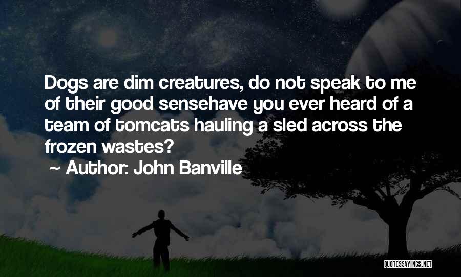 John Banville Quotes: Dogs Are Dim Creatures, Do Not Speak To Me Of Their Good Sensehave You Ever Heard Of A Team Of