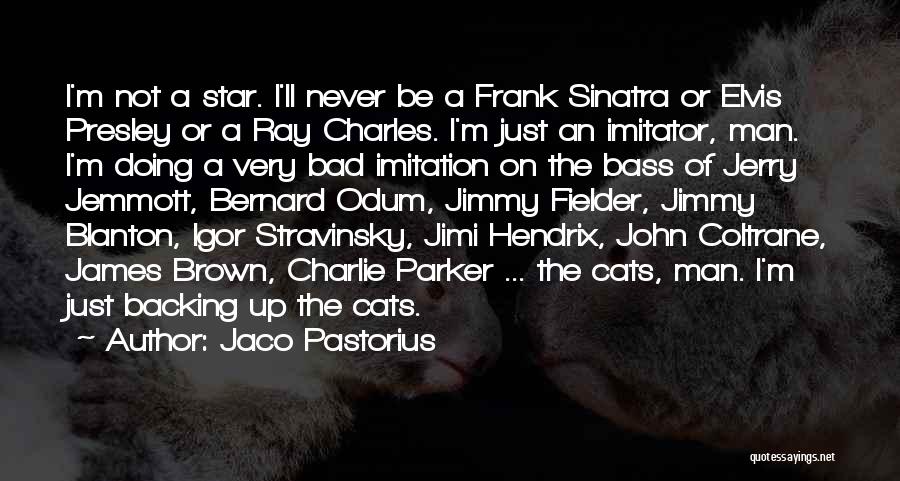 Jaco Pastorius Quotes: I'm Not A Star. I'll Never Be A Frank Sinatra Or Elvis Presley Or A Ray Charles. I'm Just An