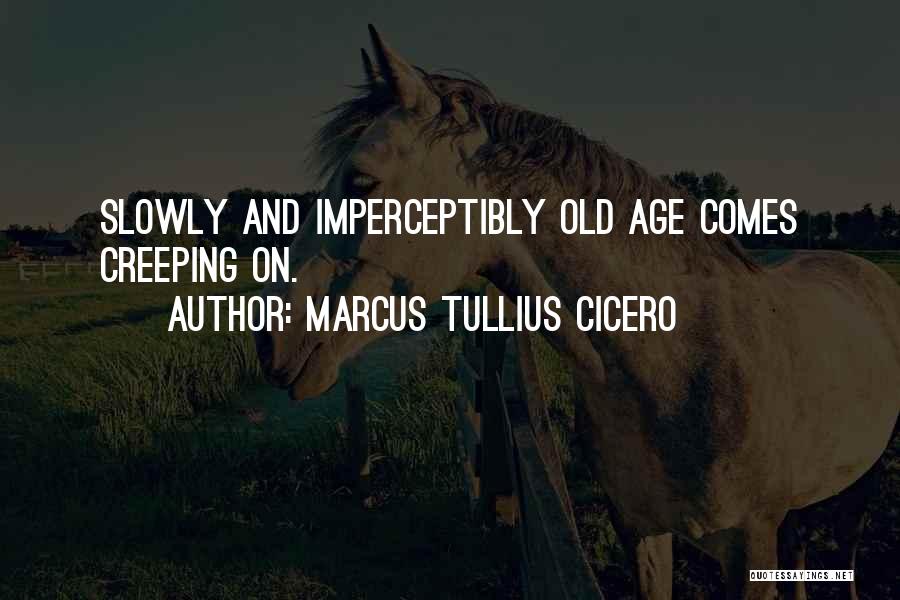 Marcus Tullius Cicero Quotes: Slowly And Imperceptibly Old Age Comes Creeping On.