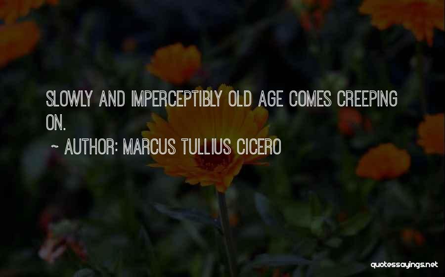 Marcus Tullius Cicero Quotes: Slowly And Imperceptibly Old Age Comes Creeping On.