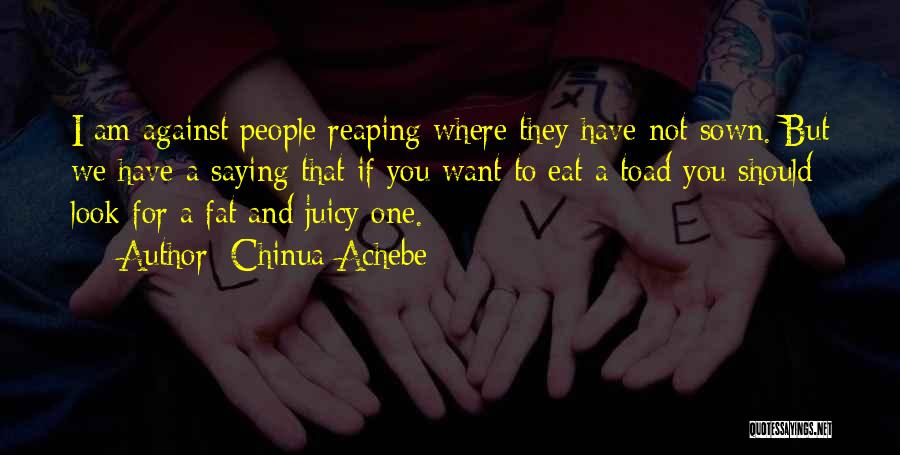 Chinua Achebe Quotes: I Am Against People Reaping Where They Have Not Sown. But We Have A Saying That If You Want To
