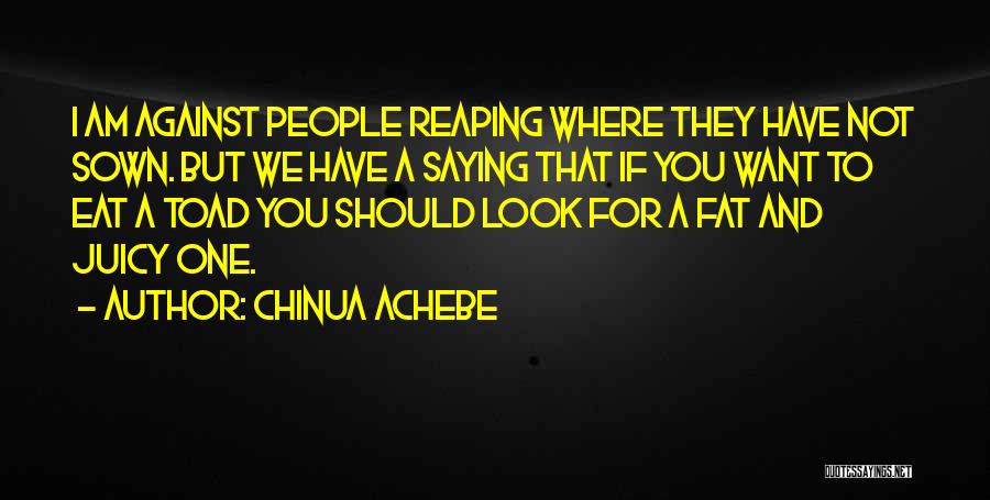 Chinua Achebe Quotes: I Am Against People Reaping Where They Have Not Sown. But We Have A Saying That If You Want To