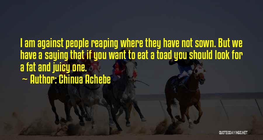 Chinua Achebe Quotes: I Am Against People Reaping Where They Have Not Sown. But We Have A Saying That If You Want To