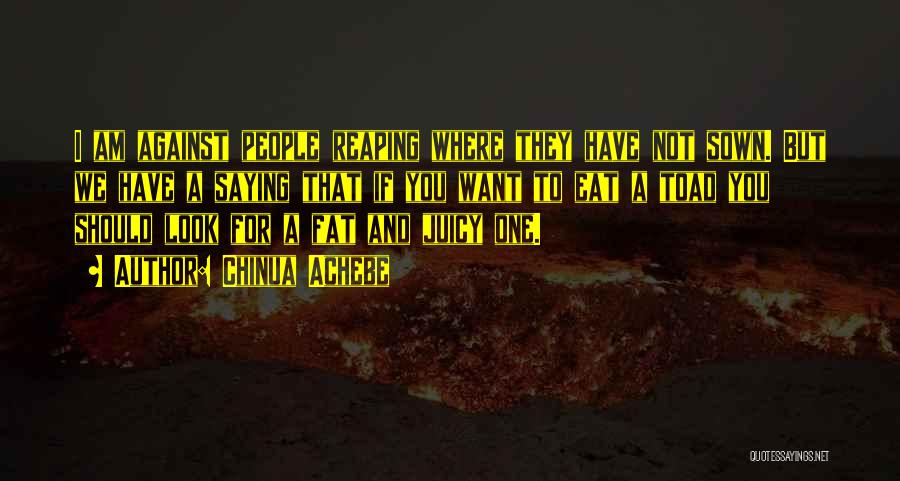 Chinua Achebe Quotes: I Am Against People Reaping Where They Have Not Sown. But We Have A Saying That If You Want To