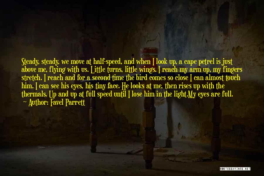 Favel Parrett Quotes: Steady, Steady, We Move At Half-speed, And When I Look Up, A Cape Petrel Is Just Above Me, Flying With