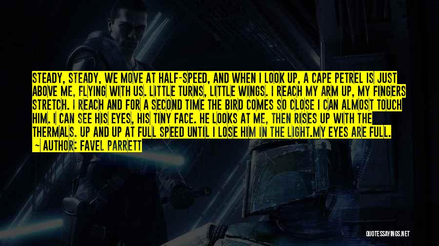 Favel Parrett Quotes: Steady, Steady, We Move At Half-speed, And When I Look Up, A Cape Petrel Is Just Above Me, Flying With
