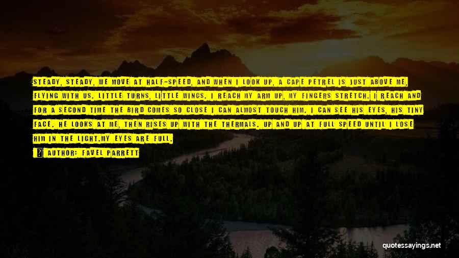 Favel Parrett Quotes: Steady, Steady, We Move At Half-speed, And When I Look Up, A Cape Petrel Is Just Above Me, Flying With