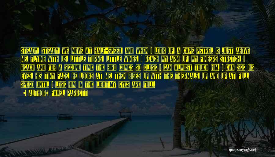 Favel Parrett Quotes: Steady, Steady, We Move At Half-speed, And When I Look Up, A Cape Petrel Is Just Above Me, Flying With