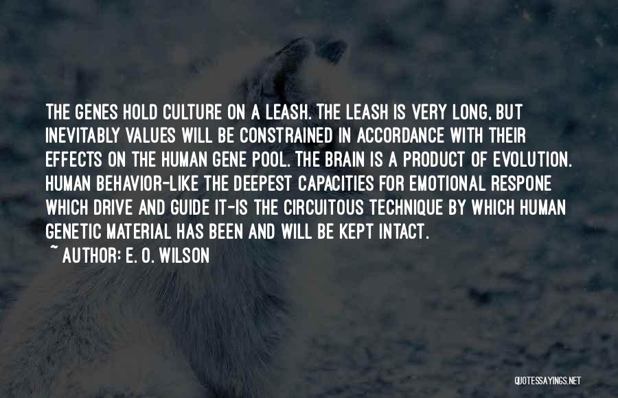 E. O. Wilson Quotes: The Genes Hold Culture On A Leash. The Leash Is Very Long, But Inevitably Values Will Be Constrained In Accordance