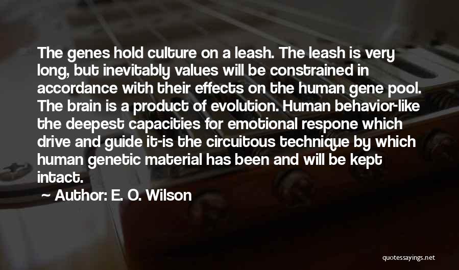 E. O. Wilson Quotes: The Genes Hold Culture On A Leash. The Leash Is Very Long, But Inevitably Values Will Be Constrained In Accordance