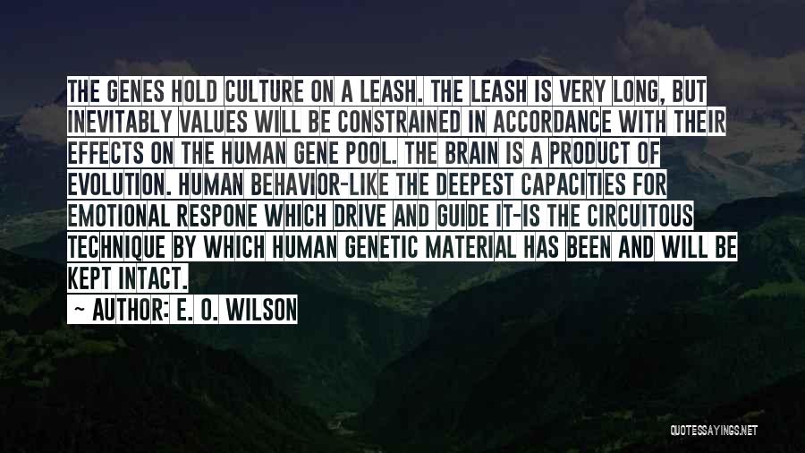 E. O. Wilson Quotes: The Genes Hold Culture On A Leash. The Leash Is Very Long, But Inevitably Values Will Be Constrained In Accordance