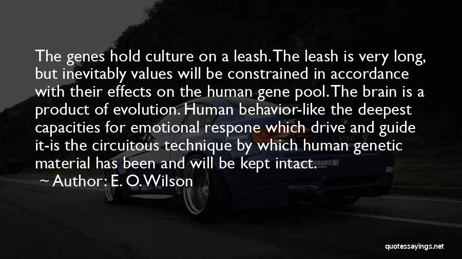 E. O. Wilson Quotes: The Genes Hold Culture On A Leash. The Leash Is Very Long, But Inevitably Values Will Be Constrained In Accordance