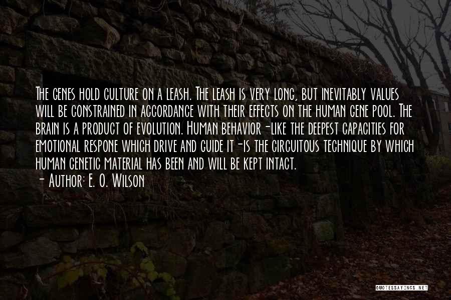 E. O. Wilson Quotes: The Genes Hold Culture On A Leash. The Leash Is Very Long, But Inevitably Values Will Be Constrained In Accordance