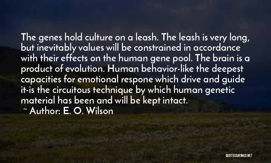 E. O. Wilson Quotes: The Genes Hold Culture On A Leash. The Leash Is Very Long, But Inevitably Values Will Be Constrained In Accordance