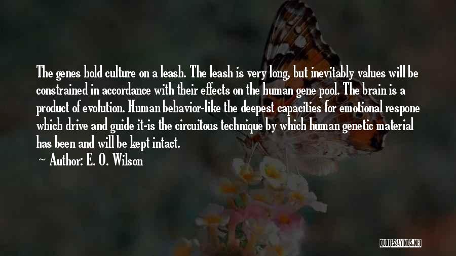 E. O. Wilson Quotes: The Genes Hold Culture On A Leash. The Leash Is Very Long, But Inevitably Values Will Be Constrained In Accordance