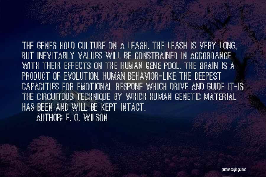 E. O. Wilson Quotes: The Genes Hold Culture On A Leash. The Leash Is Very Long, But Inevitably Values Will Be Constrained In Accordance