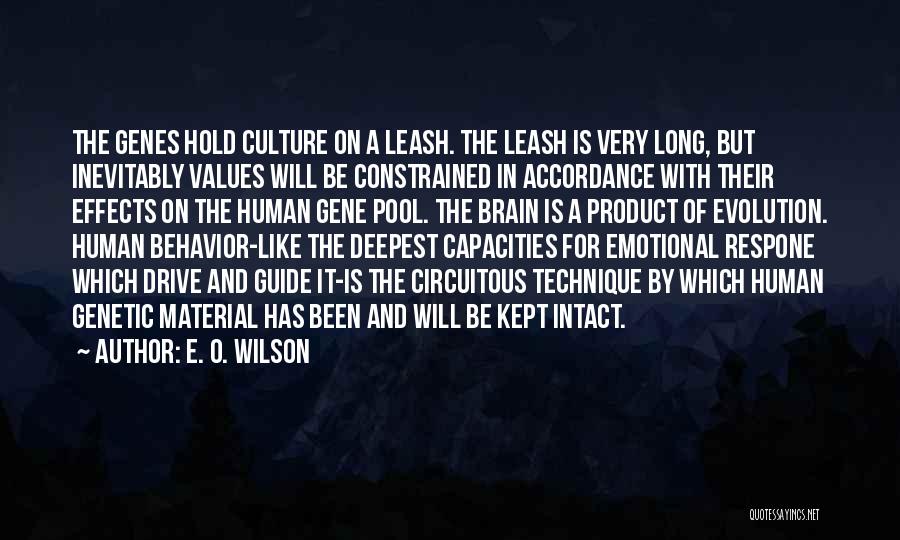 E. O. Wilson Quotes: The Genes Hold Culture On A Leash. The Leash Is Very Long, But Inevitably Values Will Be Constrained In Accordance