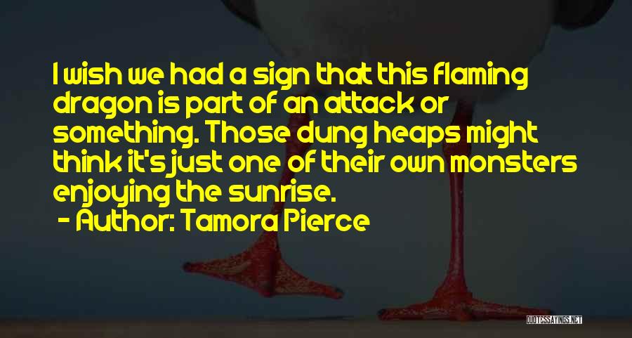 Tamora Pierce Quotes: I Wish We Had A Sign That This Flaming Dragon Is Part Of An Attack Or Something. Those Dung Heaps