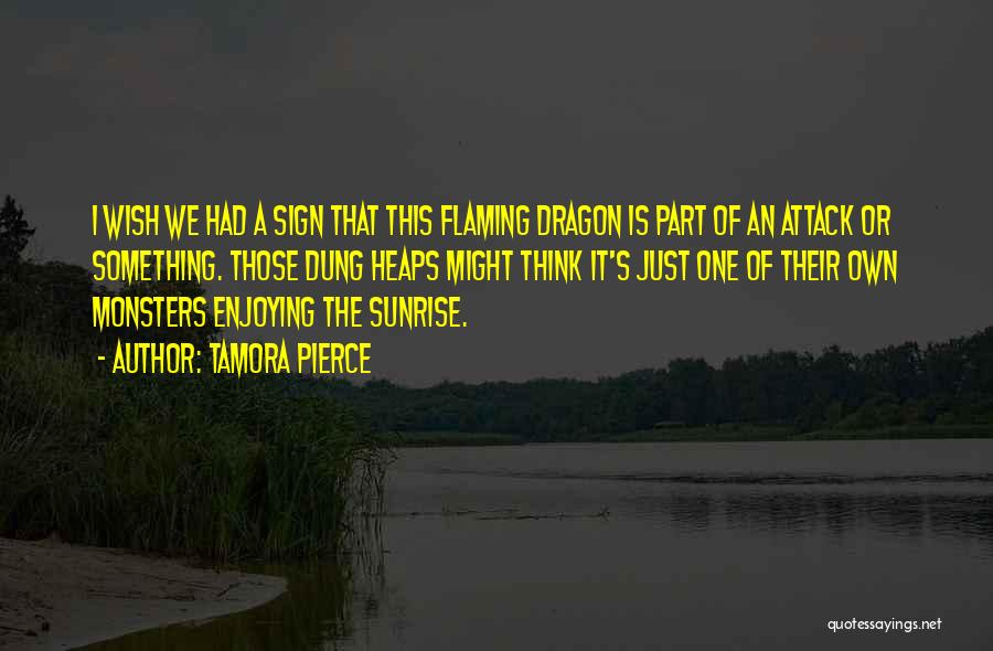 Tamora Pierce Quotes: I Wish We Had A Sign That This Flaming Dragon Is Part Of An Attack Or Something. Those Dung Heaps