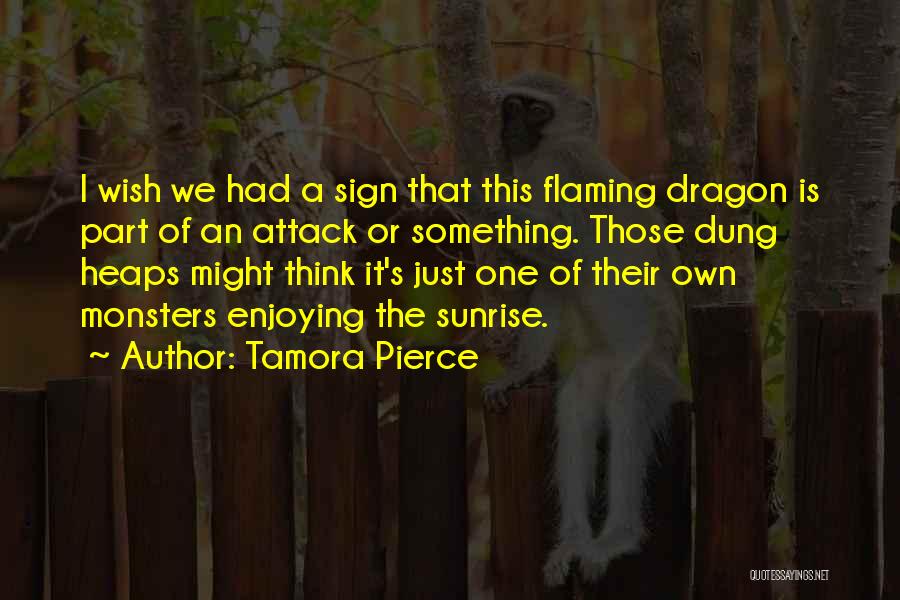 Tamora Pierce Quotes: I Wish We Had A Sign That This Flaming Dragon Is Part Of An Attack Or Something. Those Dung Heaps