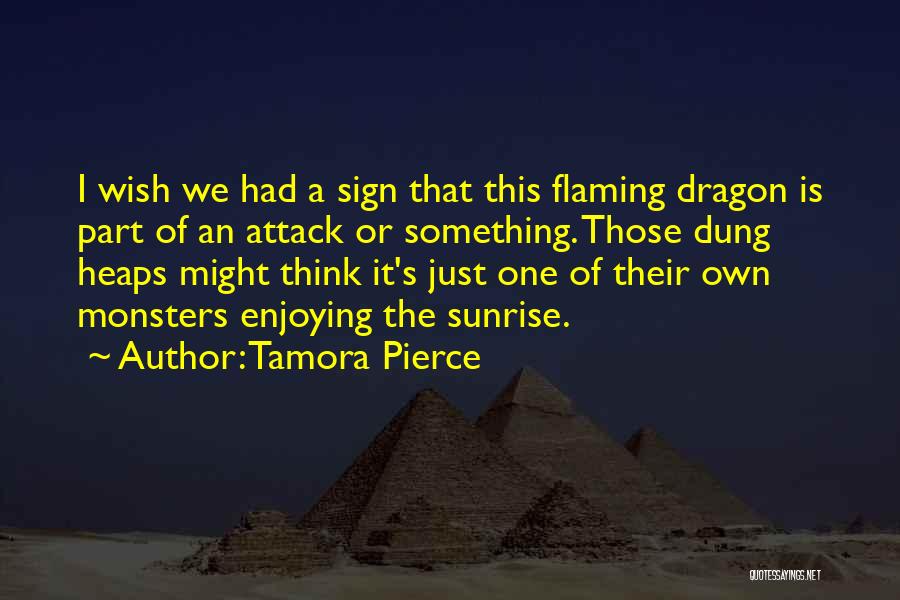 Tamora Pierce Quotes: I Wish We Had A Sign That This Flaming Dragon Is Part Of An Attack Or Something. Those Dung Heaps