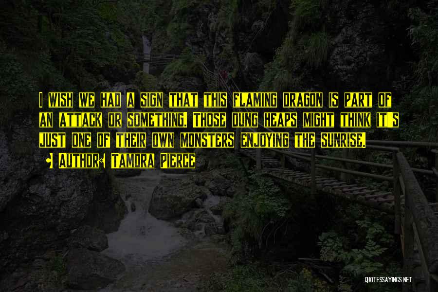 Tamora Pierce Quotes: I Wish We Had A Sign That This Flaming Dragon Is Part Of An Attack Or Something. Those Dung Heaps