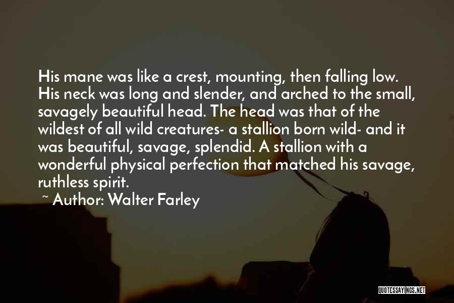Walter Farley Quotes: His Mane Was Like A Crest, Mounting, Then Falling Low. His Neck Was Long And Slender, And Arched To The