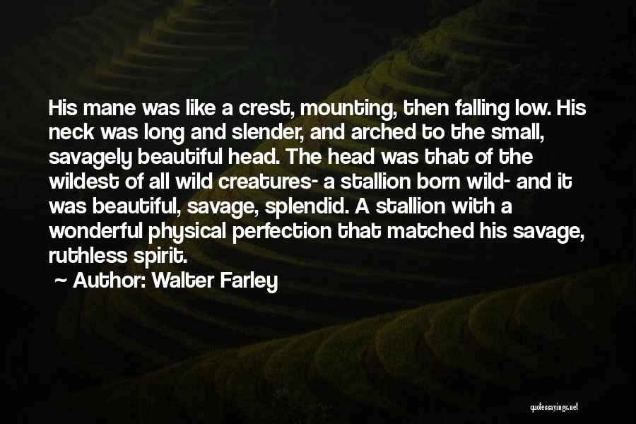 Walter Farley Quotes: His Mane Was Like A Crest, Mounting, Then Falling Low. His Neck Was Long And Slender, And Arched To The