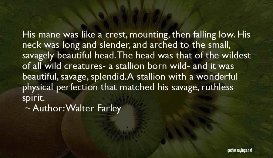 Walter Farley Quotes: His Mane Was Like A Crest, Mounting, Then Falling Low. His Neck Was Long And Slender, And Arched To The