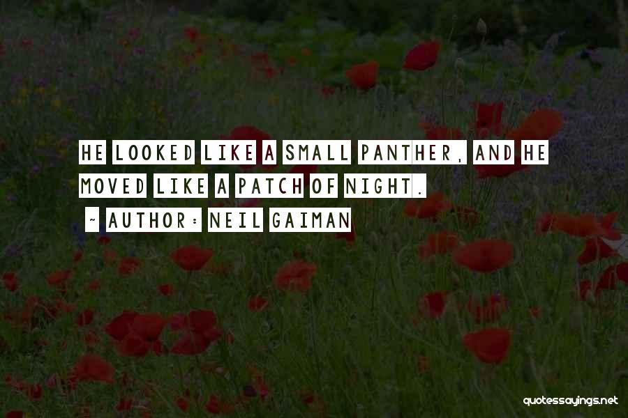 Neil Gaiman Quotes: He Looked Like A Small Panther, And He Moved Like A Patch Of Night.