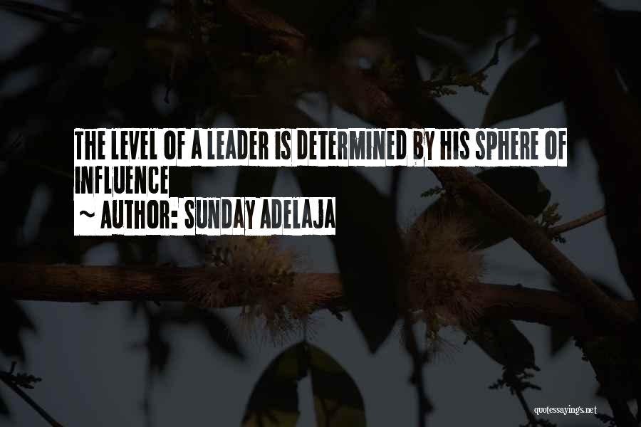 Sunday Adelaja Quotes: The Level Of A Leader Is Determined By His Sphere Of Influence