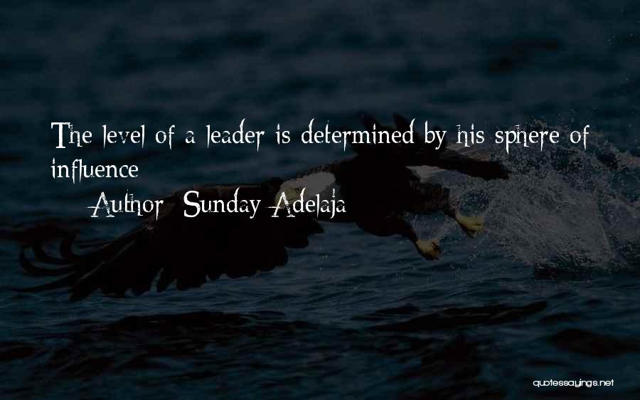 Sunday Adelaja Quotes: The Level Of A Leader Is Determined By His Sphere Of Influence