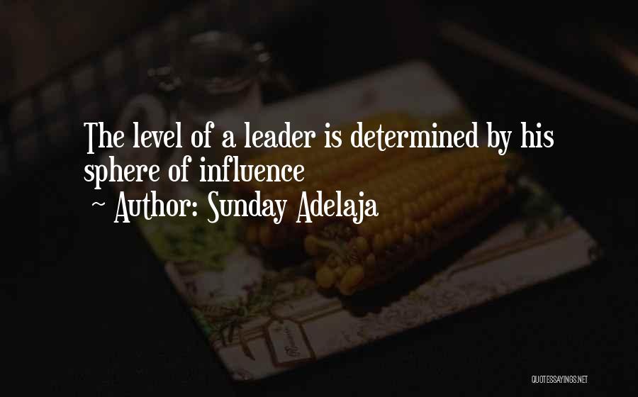 Sunday Adelaja Quotes: The Level Of A Leader Is Determined By His Sphere Of Influence